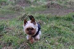 66: 10934137_830301180376577_7975646364934600956_o